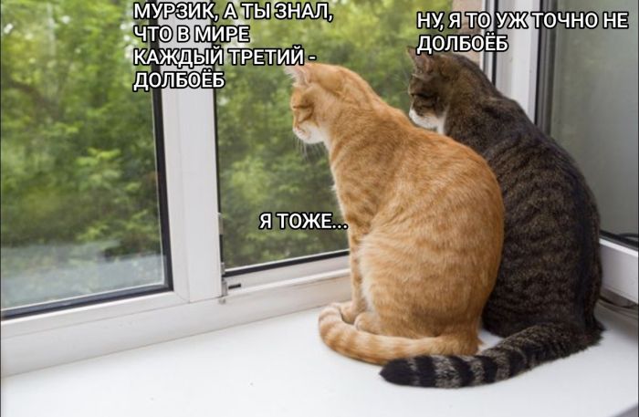 картинка 515d7d5260 0000000000000