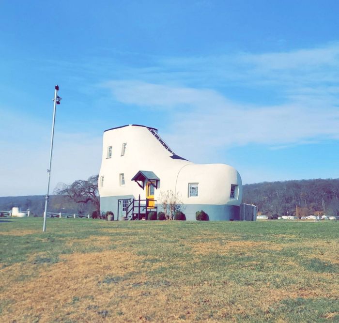 Пятница, ты ли это? 🎉 Самый ожидаемый день недели встречает нас свежей порцией позитива! только, сделать, который, сборник, чтобы, пятницу, смеяться, выходные, идеально, нужно, жизни, моменты, красивые, просто, пейзажи, вдохновляющие, животные, милые, Улыбки, уверены