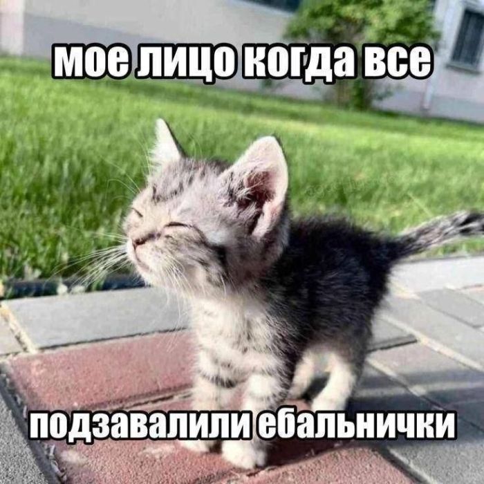 картинка 58394de18c vnimanie jumor ne dlja vseh 5