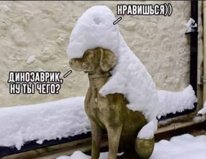 картинка 5a358922e5 gotovy k doze chernogo jumora ot kotorogo scheki zalivajutsja kraskoj 2