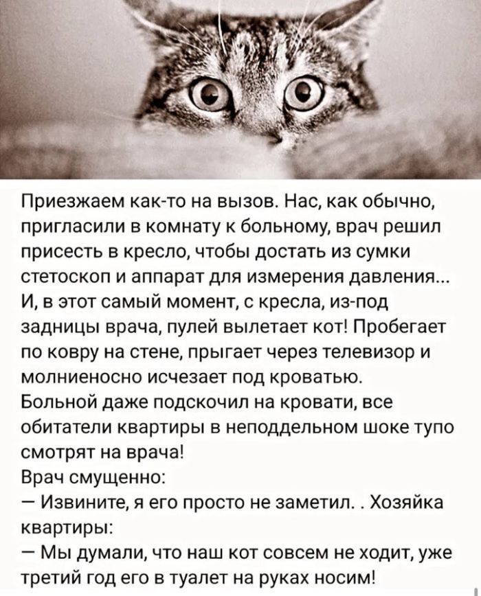 картинка 5aa3a45969 0000000000000000