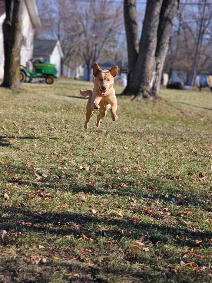 картинка 5bd486858b seredina nedeli malenkaja pjatnica podborka pozitiva dlja zarjada jenergii 10