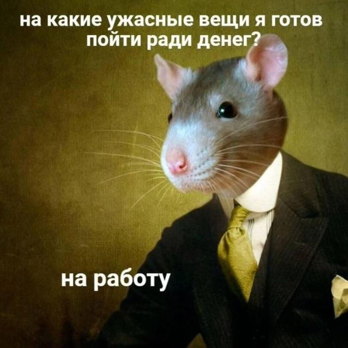 картинка 5d40ae4e4a chernyj jumor dlja nastojaschih cenitelej podborka kotoraja zastavit vas smejatsja do slez 31