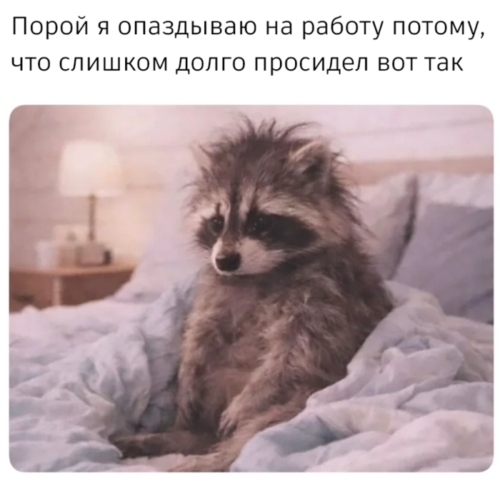 картинка 5eb9458c6b vzroslyj jumor poshlye shutki svezhie memy da 2