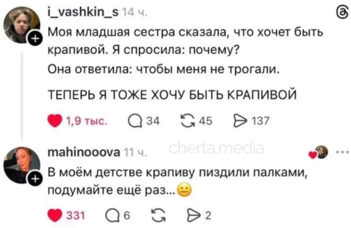 Хотите порцию отличного настроения? Вам сюда! прочесали, который, благодарноПредыдущая, очень, будет, настроение, пропустите, духНе, поднимет, точно, проверенный, просторы, Только, сетей, социальных, комментарии, смешные, самые, найти, чтобы