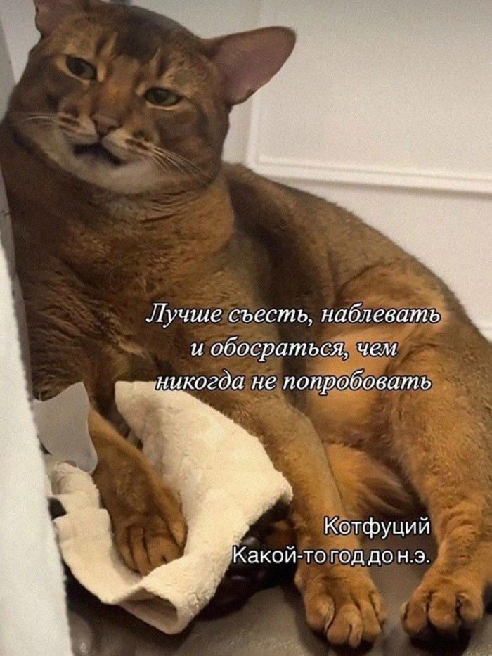 картинка 6195e606d4 vnimanie jumor ne dlja vseh 6