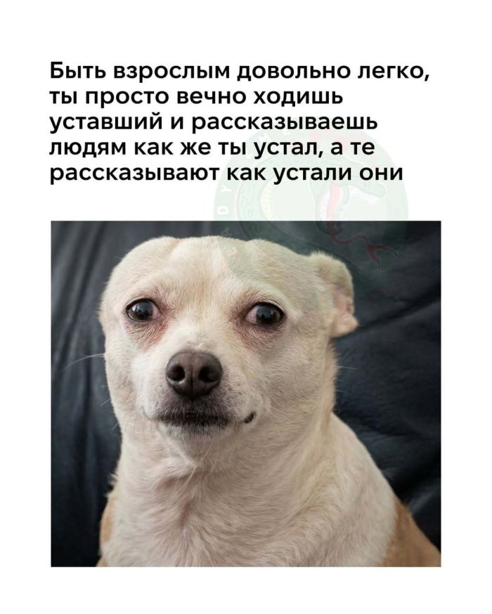 Выходные + смешные мемы = идеальное настроение! Забудь, самые, Проведи, позитива, заряд, подарят, настроение, поднимут, гарантированно, которые, уморительные, отобрали, скуку, тщательно, смехом, искренним, эмоциями, яркими, наполнены, будут