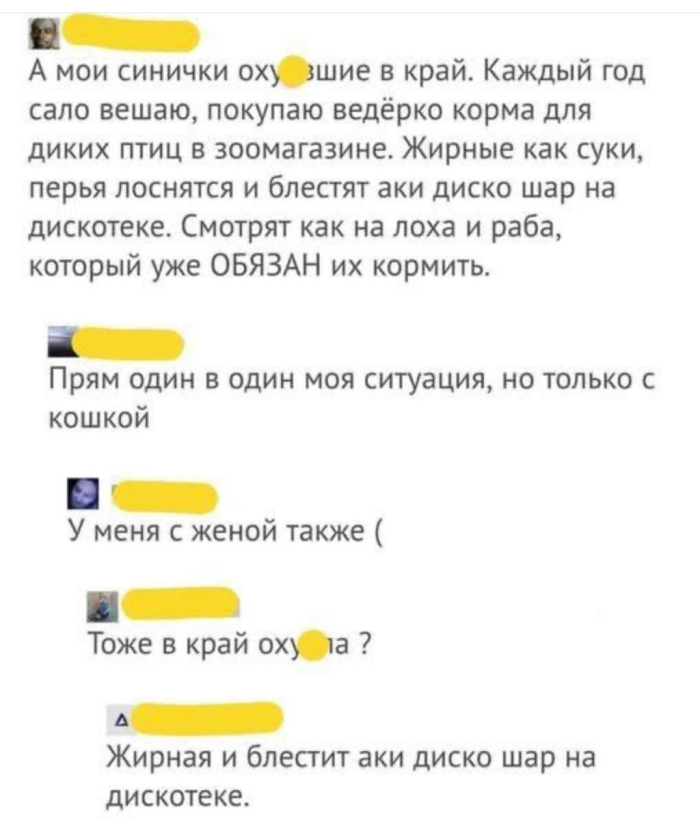 картинка 663fd29d37 memy kommentarii smeh 000