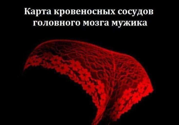 картинка 672e1c98ad chernyj jumor i poshlye prikoly dlja cenitelej 6