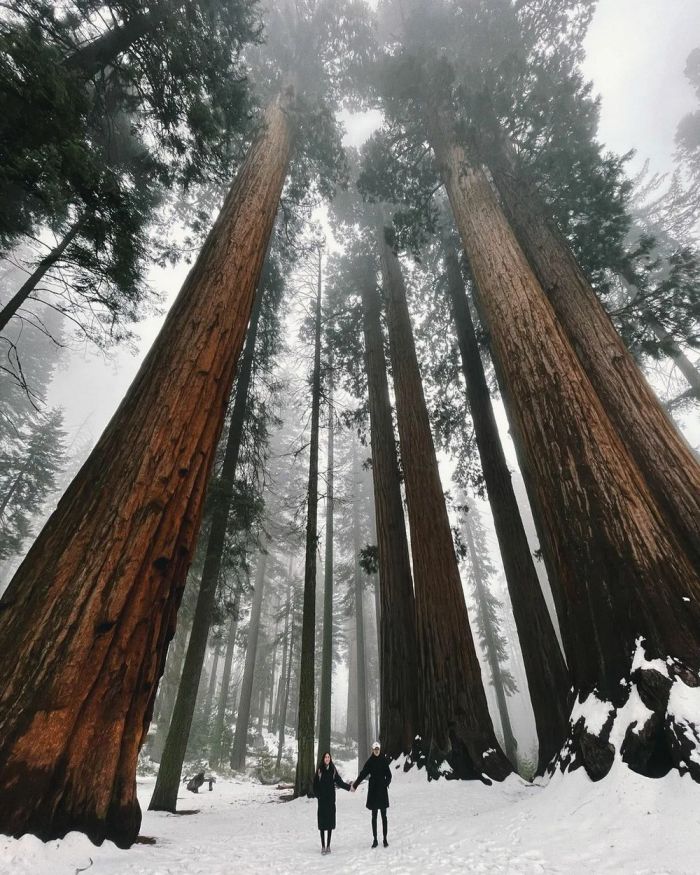 картинка 674dc3abc1 ura pjatnica zarjazhaemsja pozitivom pered vyhodnymi 10