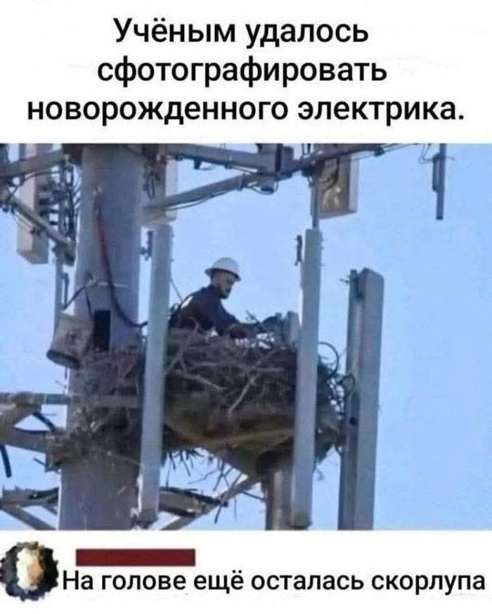 картинка 6937fd5a46 ubojnaja podborka kommenty iz seti memy smeh do slez 0