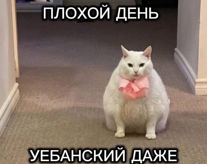 картинка 697d65ea6d vnimanie jumor ne dlja vseh 0