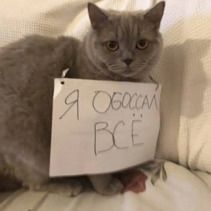 Понедельник не так уж и страшен! 😉 неделю, понедельник, Привет, получайте, 😊Готовы, зарядиться, позитивом, Тогда, теряйте, времени, листайте, дальше, смеха, утреннего, хорошим, 😄🤣Пусть, станет, «тяжёлым, стартом», ярким