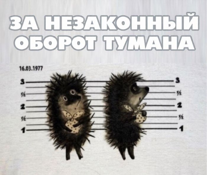 картинка 6b5bc854ce gotovy k doze chernogo jumora ot kotorogo scheki zalivajutsja kraskoj 11