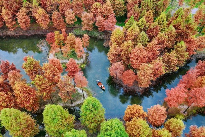 картинка 6d873fbad1 bolshoj sbornik otbornogo jumora v pjatnicu 3