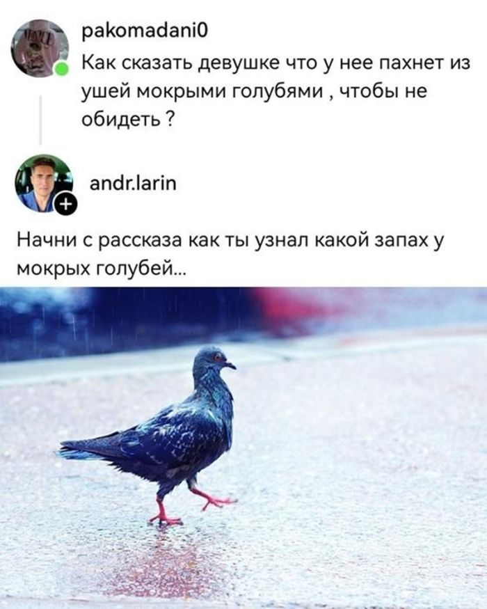 Осторожно, горячо! Самые пошлые и смешные комментарии из глубин интернета уже здесь! комментарии, Готовы, взрыву, граничит, гениальностью, неожиданных, ответов, виртуозных, двусмысленностей, точно, оставят, равнодушными, Приготовьтесь, смеха, норма, возможно, легкой, неловкости, Наслаждайтесь, нашей