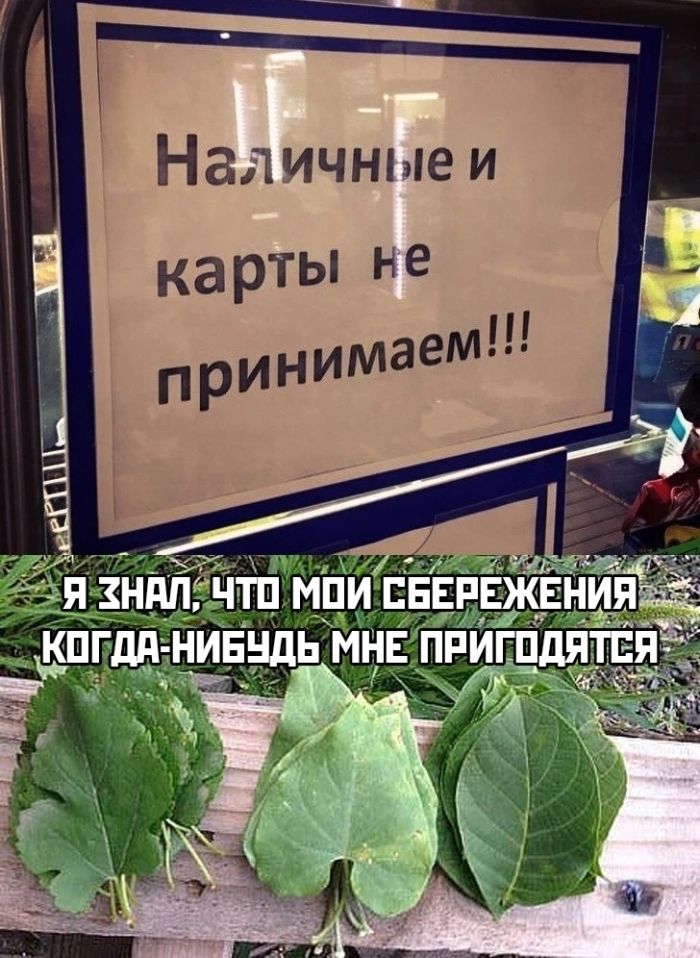 картинка 7454a11a1d novyj sbornik umoritelnyh memov ulybka garantirovana 19