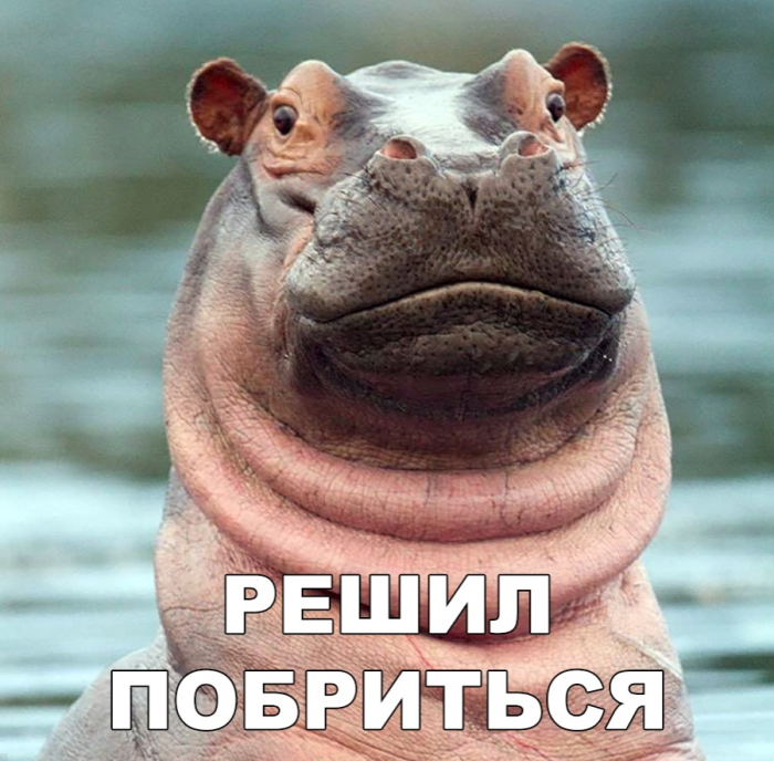 картинка 771efa621d bolshoj sbornik otbornogo jumora v pjatnicu 000