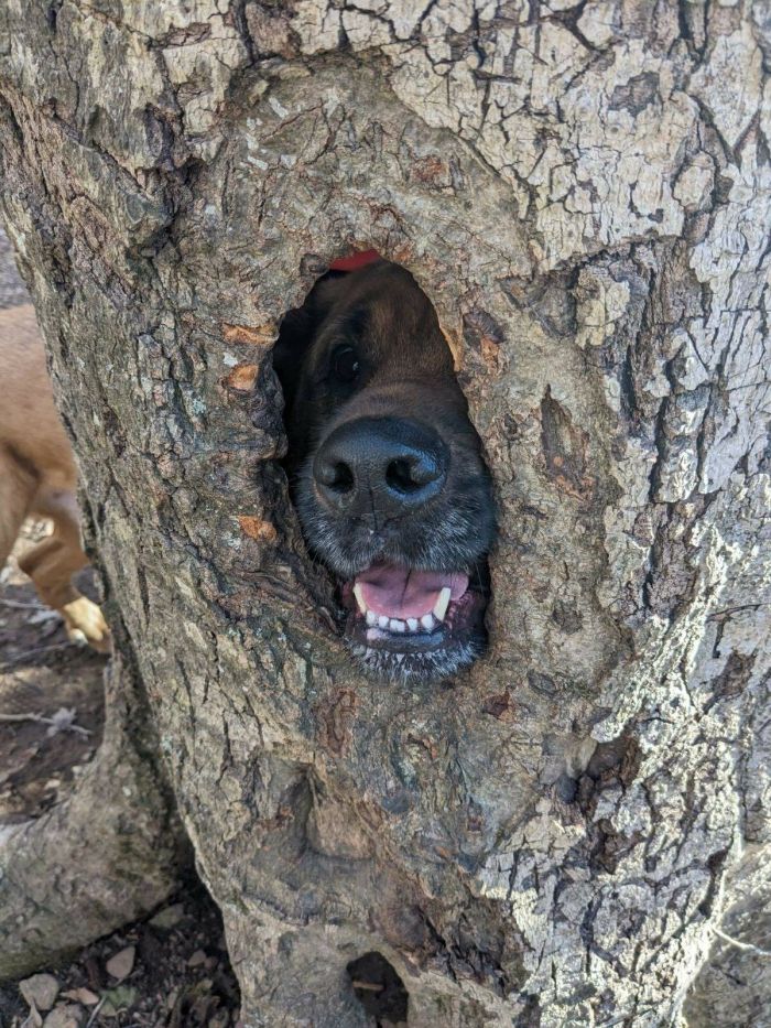 картинка 79bf9756a4 seredina nedeli malenkaja pjatnica podborka pozitiva dlja zarjada jenergii 11