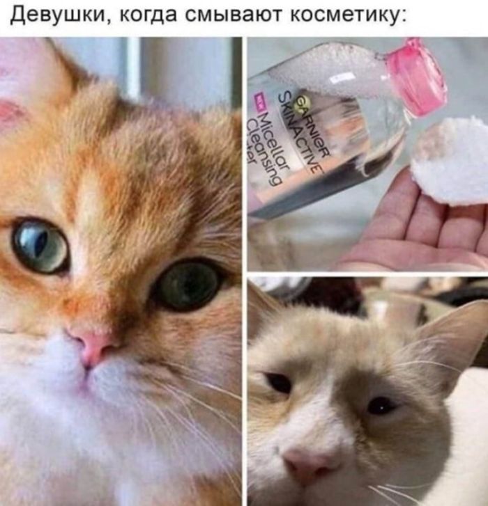 картинка 7a9e7a00c0 chernyj jumor dlja vzroslyh bolshaja podborka poshlyh i amoralnyh memov 5