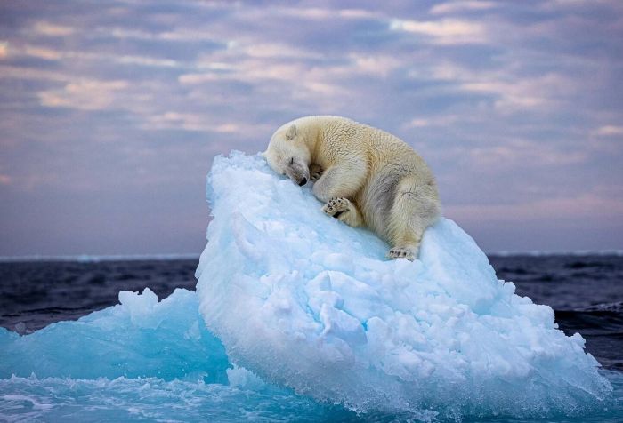 картинка 7de9fa9005 vnimanie objavlena malenkaja pjatnica 11