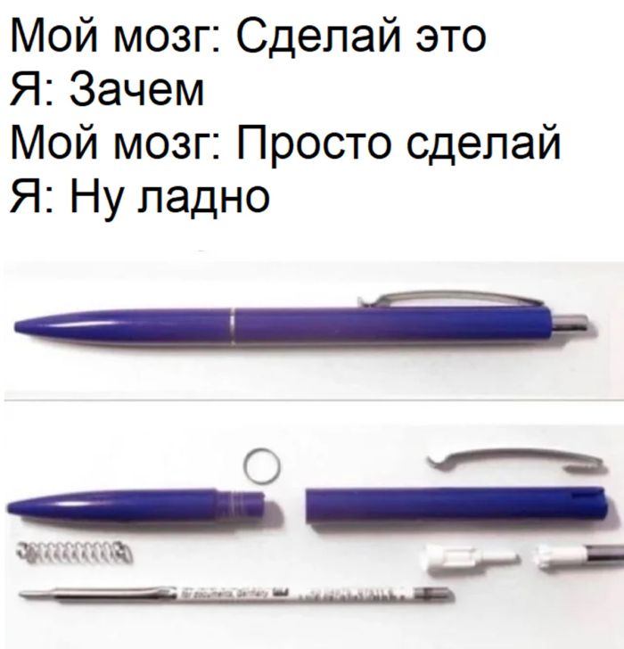 Взрыв смеха гарантирован: подборка самых уморительных мемов!