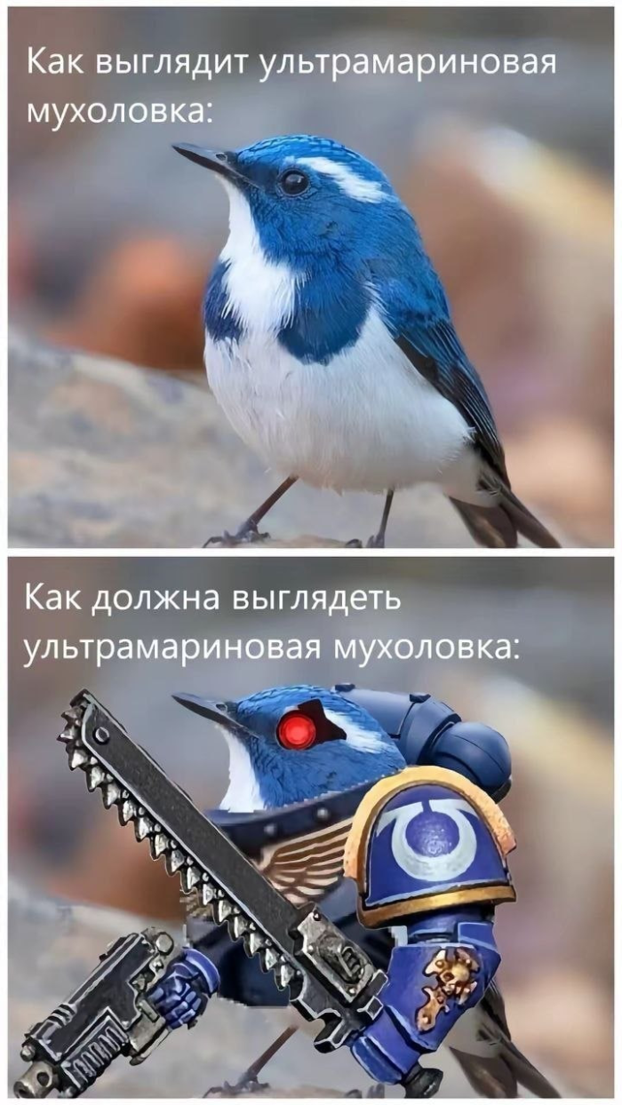 картинка 8221ae7b91 1776266541