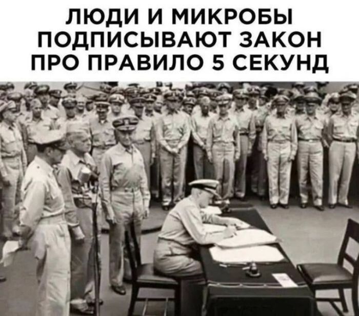 картинка 8572763839 chernyj jumor dlja nastojaschih cenitelej podborka kotoraja zastavit vas smejatsja do slez 26