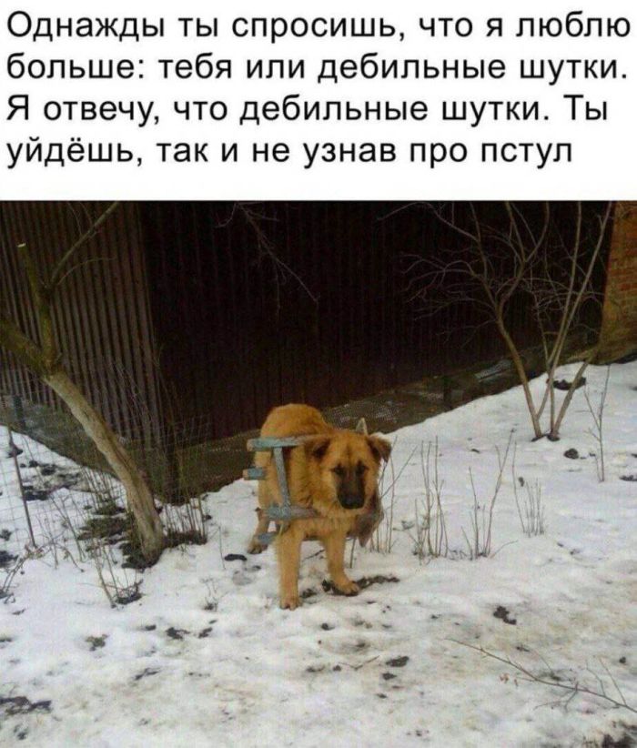 картинка 85803660e9 memy kommentarii smeh 8