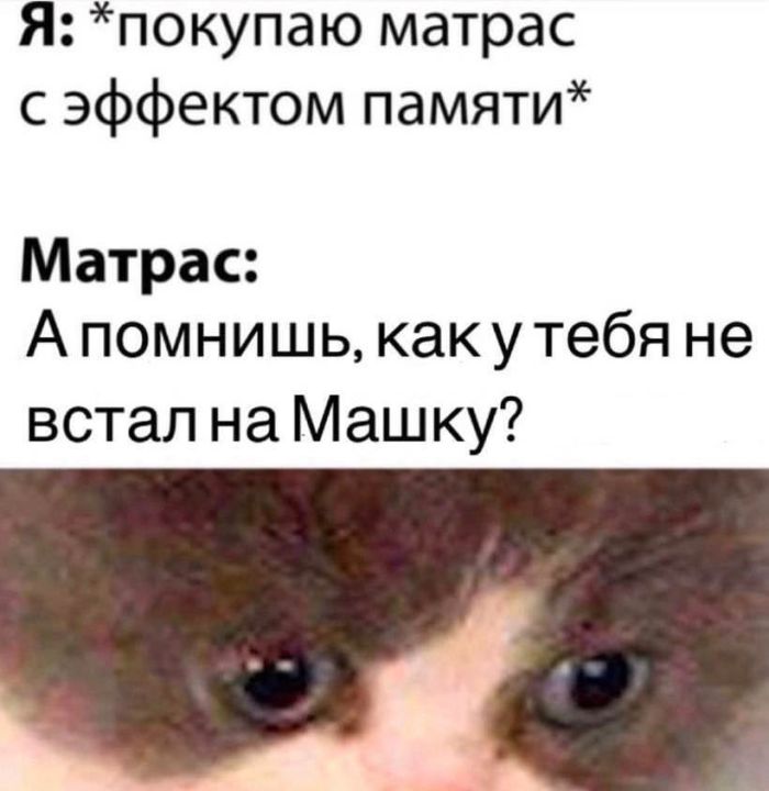 Хотите порцию отличного настроения? Вам сюда! прочесали, который, благодарноПредыдущая, очень, будет, настроение, пропустите, духНе, поднимет, точно, проверенный, просторы, Только, сетей, социальных, комментарии, смешные, самые, найти, чтобы