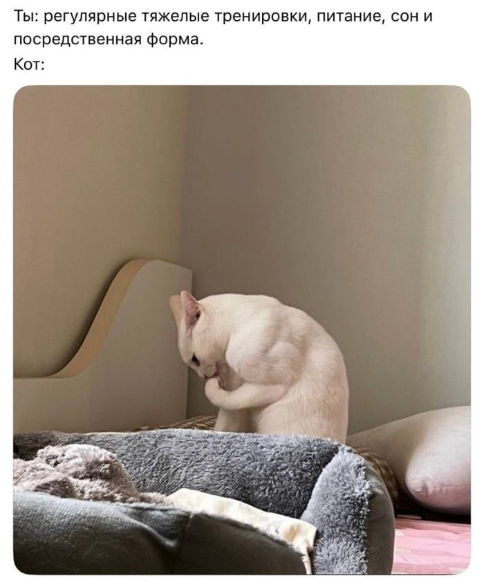 картинка 8a08c7e854 seredina nedeli idealnoe vremja dlja dozy pozitiva 6