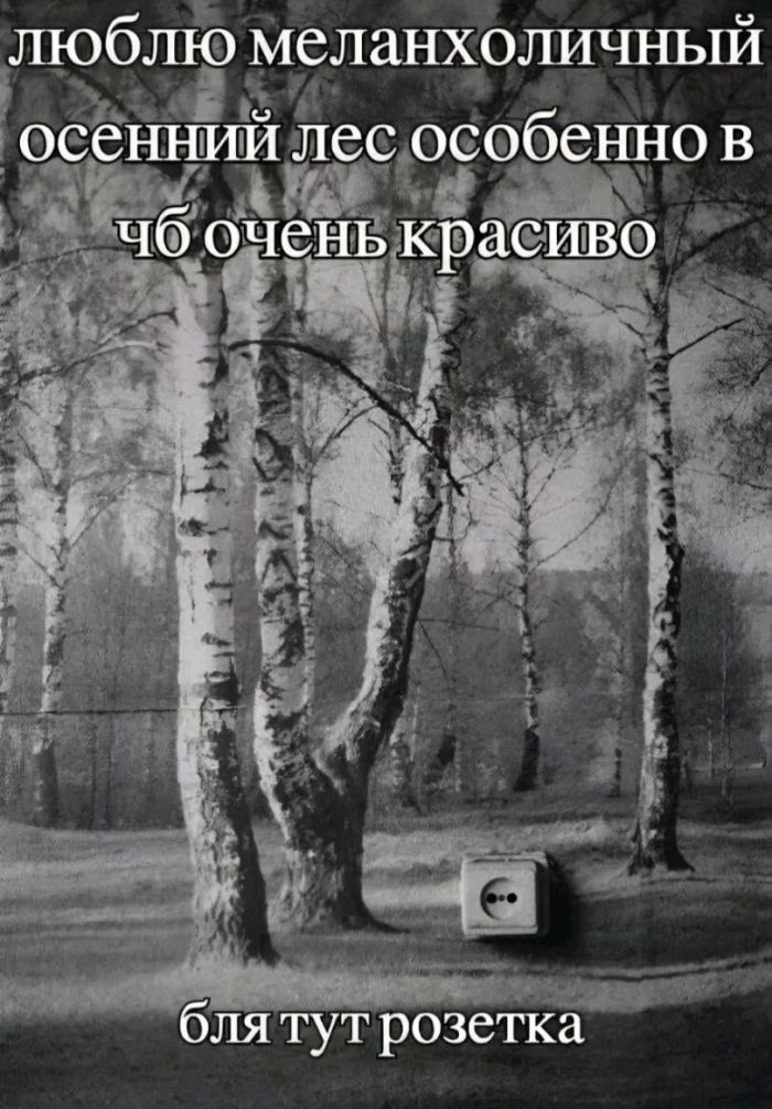 картинка 8da77b49cf gotovy k porcii derzkogo ostrogo i neprilichnogo jumora 11