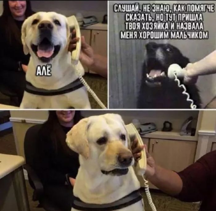 картинка 914a9a0c02 vzroslyj jumor poshlye shutki svezhie memy da 12