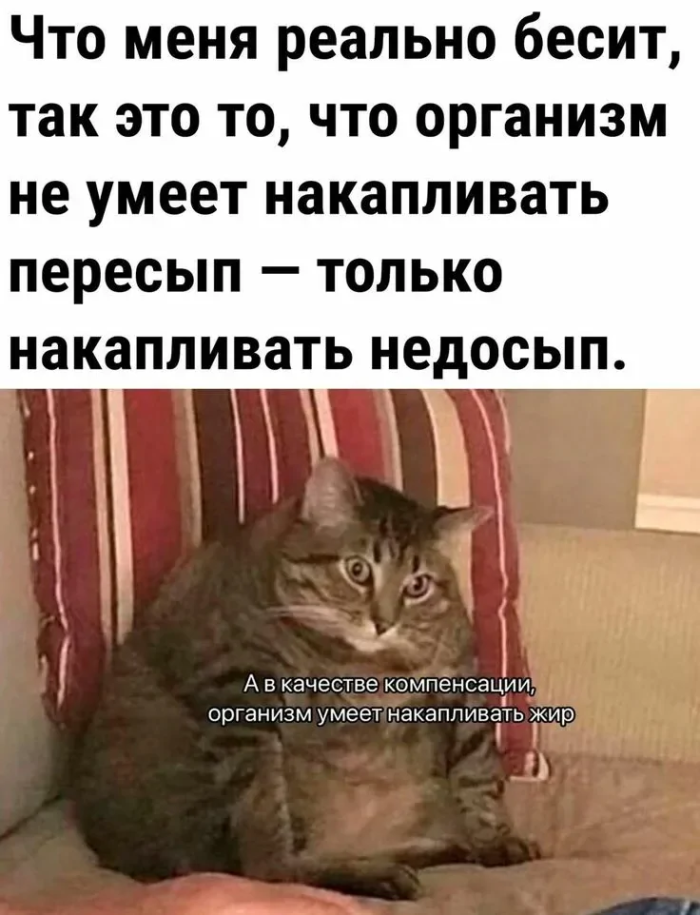 картинка 937d35ca15 00