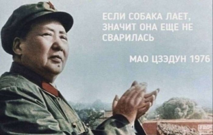 картинка 97970d28f5 dlja teh kto ne boitsja smejatsja nad tem nad chem ne prinjato 8