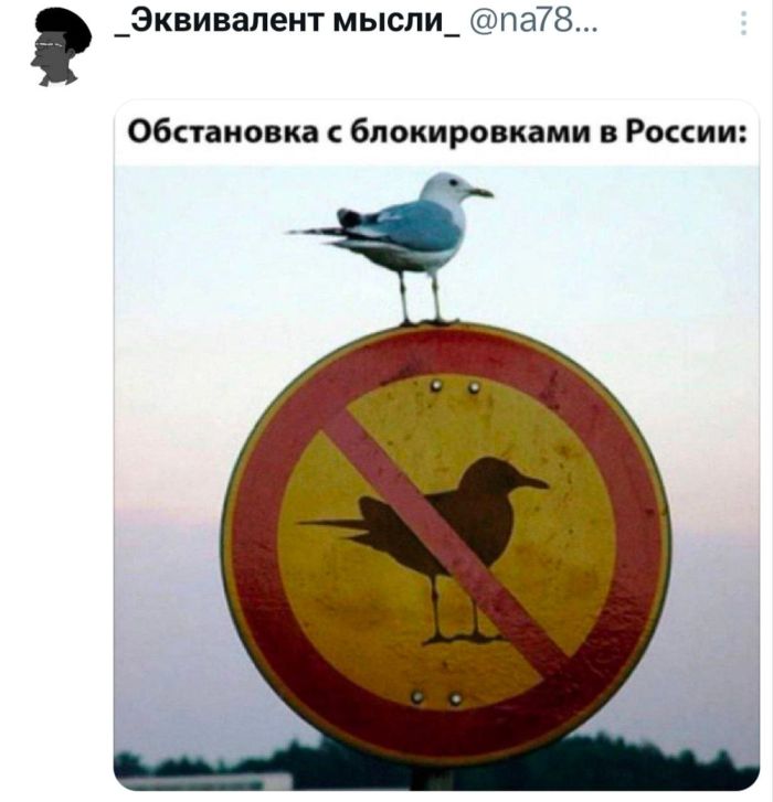 картинка 98434e511f samye smeshnye memy i kommentarii zarjad pozitiva na ves den 15