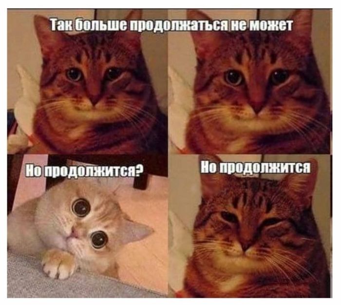 Лучшие мемы ушедшей недели: Зарядись позитивом! чтобы, качестве, каждый, точно, каждой, мемов, Устали, подобрали, настроения, поднятие, всёГарантированное, охватили, попкультуры, политики, отношений, ситуаций, повседневных, днейРазнообразие, последние, интернете