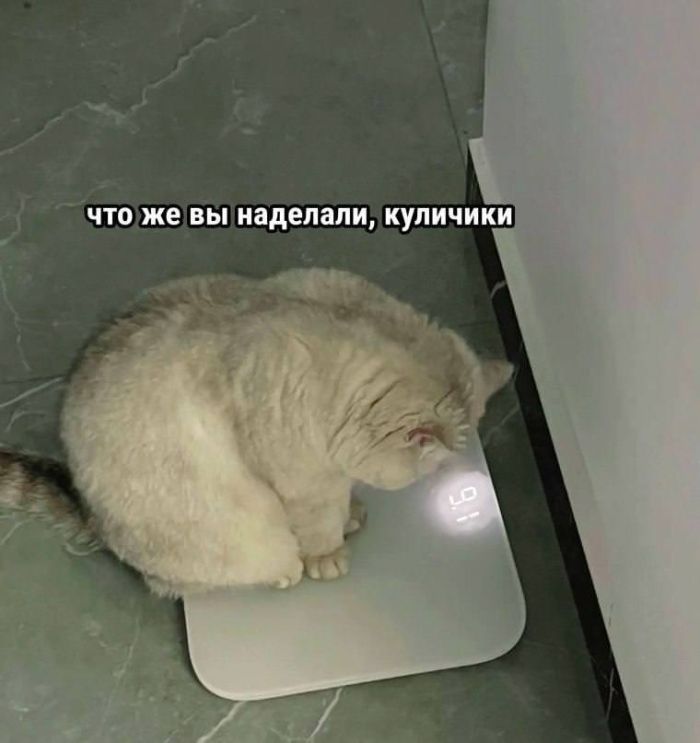 картинка 992655ce13 vnimanie objavlena malenkaja pjatnica 12