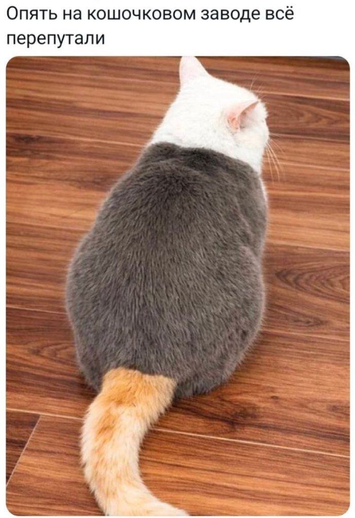 картинка 9a68674329 seredina nedeli malenkaja pjatnica podborka pozitiva dlja zarjada jenergii 2