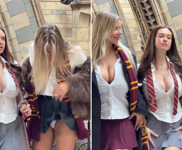 Гарри Поттер для взрослых