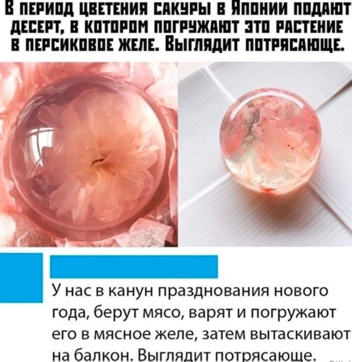 Черный юмор и острые комментарии: Подборка для тех, кто не боится шокироваться! которые, сетей, социальных, который, комментарии, порой, Готовы, впечатлительным, подборка, интернетеВнимание, пишут, правда, Неприкрытая, особамРеалии, детям, контент, показывать, стоит, точно, Контент