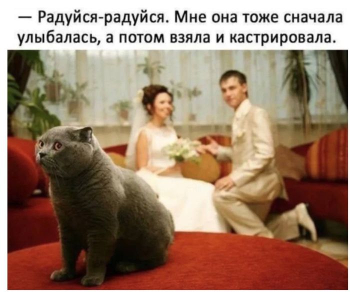 картинка a02db1dcfd dlja teh kto ne boitsja smejatsja nad tem nad chem ne prinjato 16