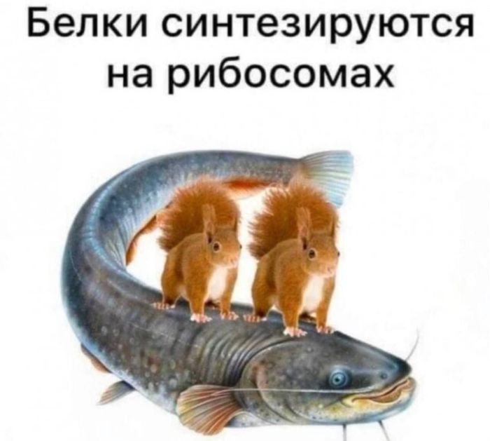 картинка a139c4466c gotovy k doze chernogo jumora ot kotorogo scheki zalivajutsja kraskoj 24