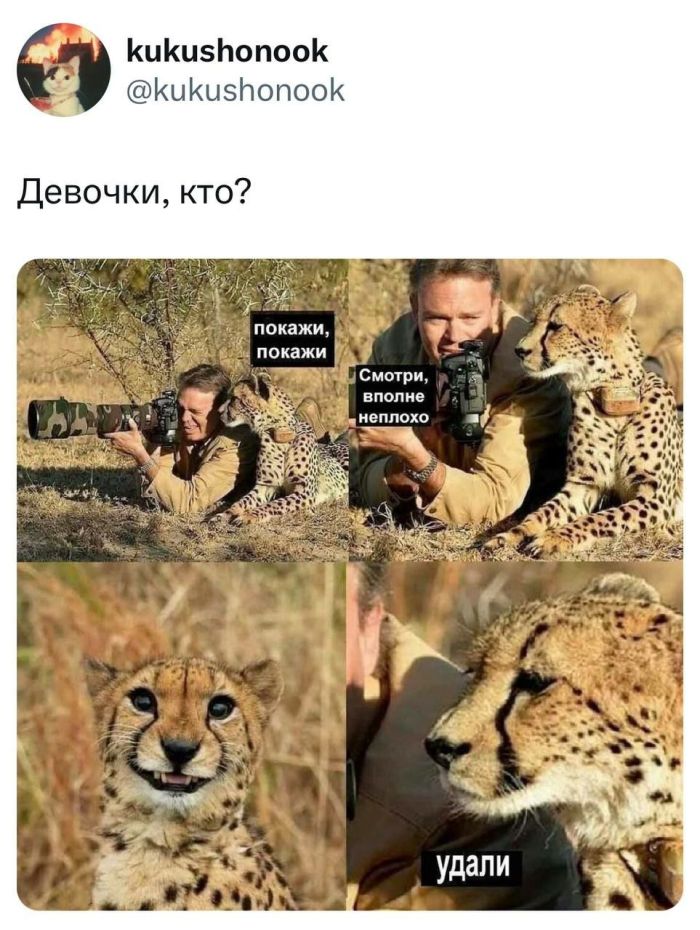 картинка a4eb33f89d ulybnites shire podborka pozitiva kotoraja tochno podnimet nastroenie 14