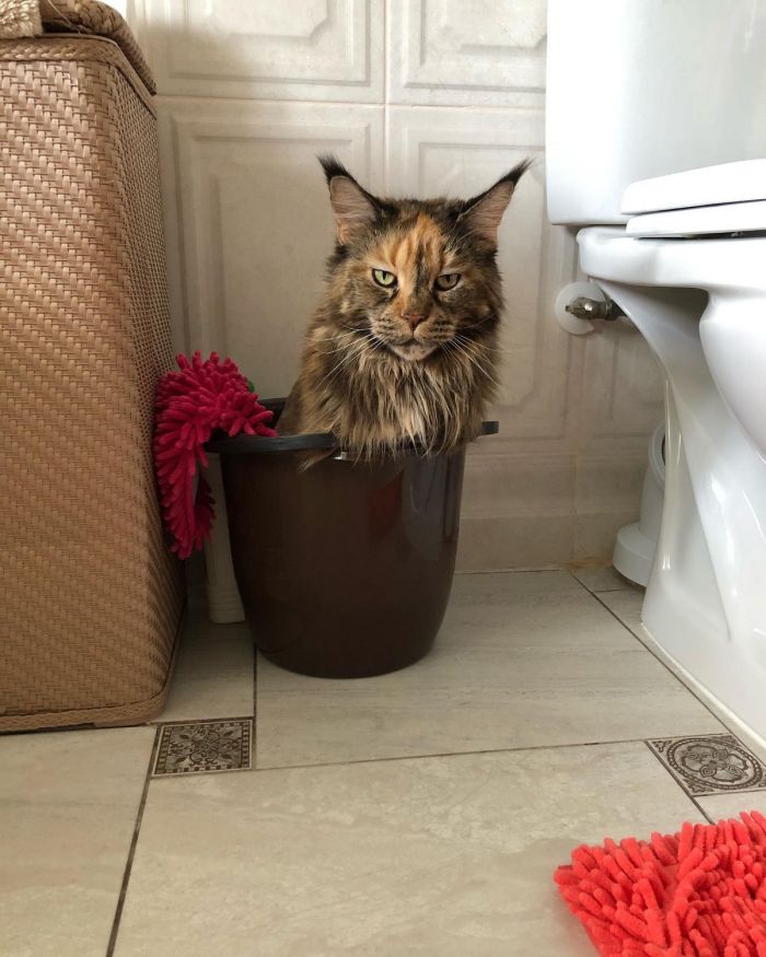 картинка a6db0c83f4 vnimanie objavlena malenkaja pjatnica 58