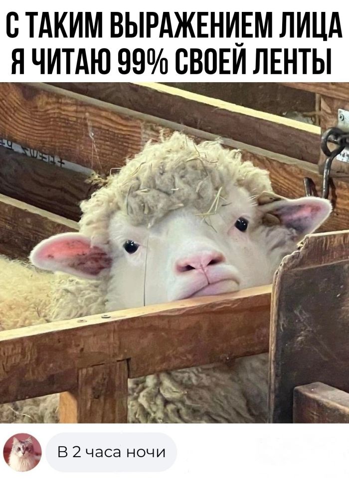 картинка a860550554 samye smeshnye memy i kommentarii zarjad pozitiva na ves den 9