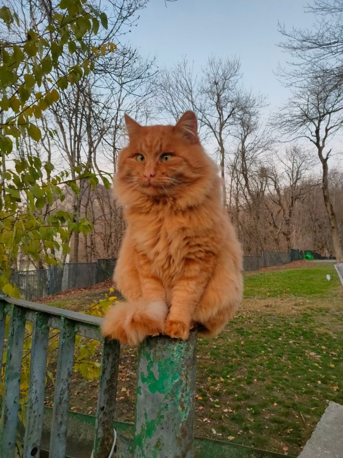 картинка a9281d0bd6 malenkaja pjatnica uzhe zdes podnimaem nastroenie v seredine nedeli 6