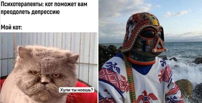 Середина недели — маленькая пятница: подборка позитива для заряда энергии