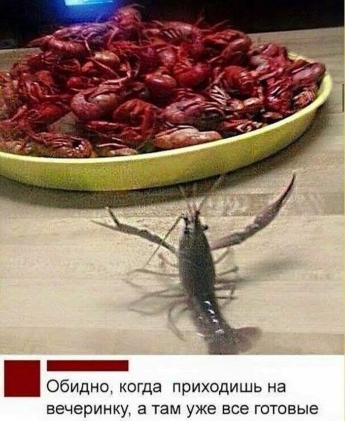 Осторожно, горячо! Самые пошлые и смешные комментарии из глубин интернета уже здесь! комментарии, Готовы, взрыву, граничит, гениальностью, неожиданных, ответов, виртуозных, двусмысленностей, точно, оставят, равнодушными, Приготовьтесь, смеха, норма, возможно, легкой, неловкости, Наслаждайтесь, нашей