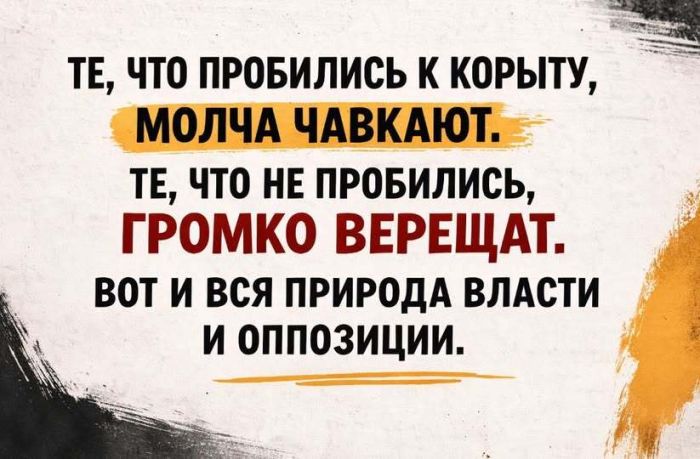 Островки юмора в бурю проблем: подборка мемов и остроумных комментариев для поднятия настроения самые, расслабиться, позитива, моменты, улыбку, юмора, улыбнуться, подарят, комментарий, шутка, каждый, пусть, дальше, листайте, Тогда, Бывают, Готовы, смеха, доктором, персональным